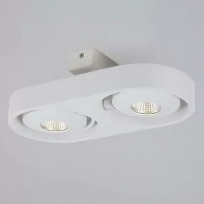 Спот DL18697 DL18697/12WW-White карданный