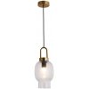 Стеклянный подвесной светильник Laredo LSP-8843 прозрачный Lussole