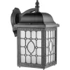 Стеклянный настенный фонарь уличный LONDON L 64802L Bl Oasis Light