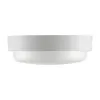 Настенно-потолочный светильник  LCL04-8W-R21-6K-SM Wolta