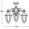 Стеклянный потолочный светильник уличный PETERSBURG ECONOM 79870EA/3 Bl прозрачный Oasis Light
