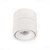 Точечный светильник St652 ST652.532.12 белый цилиндр ST Luce