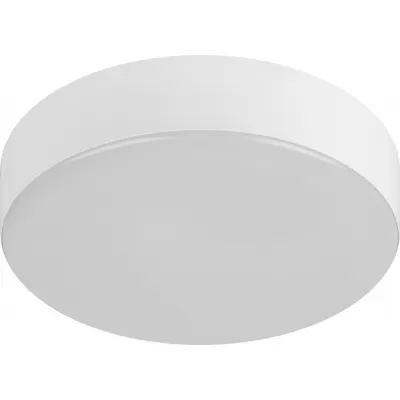 Потолочный светильник  Relict 22 SPB-6-20 4К WH ЭРА