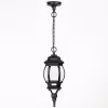 Стеклянный уличный светильник подвесной 83405S Bl прозрачный Oasis Light Стеклянный уличный светильник подвесной 83405S Bl прозрачный Oasis Light