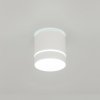 Точечный светильник Борн CL745020N цилиндр белый Citilux