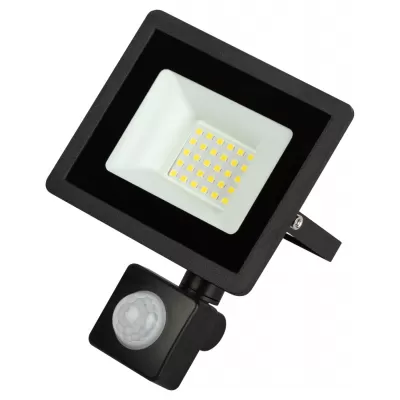 Прожектор уличный LPR-04 LPR-042-2-65K-030 ЭРА