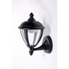 Стеклянный настенный фонарь уличный  W2601 Bl конус прозрачный Oasis Light