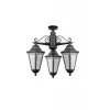 Стеклянный потолочный светильник уличный PETERSBURG ECONOM 79870EA/3 Bl прозрачный Oasis Light Стеклянный потолочный светильник уличный PETERSBURG ECONOM 79870EA/3 Bl прозрачный Oasis Light