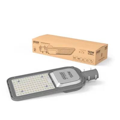 Уличный консольный светильник  629534405 Gauss