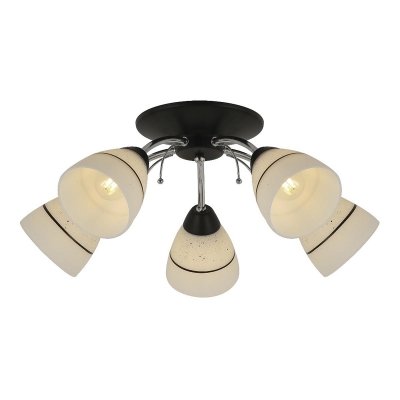 Потолочная люстра Winnifred TL1255D-05BC TopLight для кухни