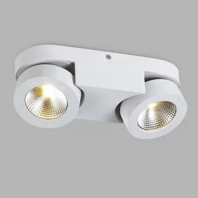 Спот DL18699 DL18699/12WW-White карданный