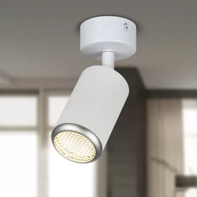 Спот OL55 WH/SL OL55 WH/SL ЭРА