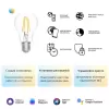 Лампочка светодиодная филаментная Smart Home 1220112 Gauss