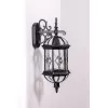 Стеклянный настенный фонарь уличный SORENTO 92602/02 Bl прозрачный Oasis Light Стеклянный настенный фонарь уличный SORENTO 92602/02 Bl прозрачный Oasis Light