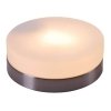 Стеклянный потолочный светильник Opal 48401 белый Globo