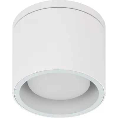 Точечный светильник  WL40 WH ЭРА накладной