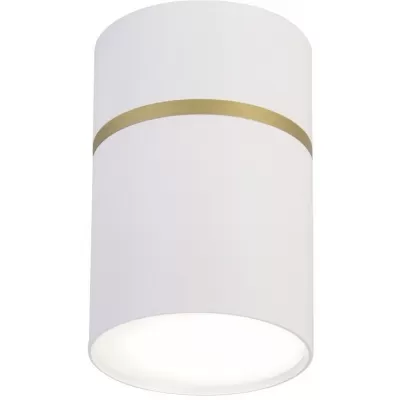 Точечный светильник Dunia 3067-1C Favourite