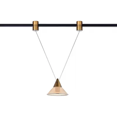 Трековый светильник Tringlas DL20234M5W1S2 Black Bronze конус