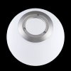 Стеклянный подвесной светильник Glob LOFT2600-B форма шар белый Loft It