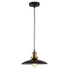 Подвесной светильник Glen Cove LSP-9604 черный Loft