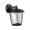 Стеклянный настенный фонарь уличный  W2622 R прозрачный Oasis Light