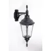 Стеклянный настенный фонарь уличный 79752S Bl прозрачный Oasis Light Стеклянный настенный фонарь уличный 79752S Bl прозрачный Oasis Light