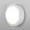 Настенно-потолочный светильник  LTB51 белый белый Elektrostandard