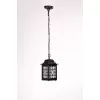 Стеклянный уличный светильник подвесной 64805S Bl белый Oasis Light Стеклянный уличный светильник подвесной 64805S Bl белый Oasis Light