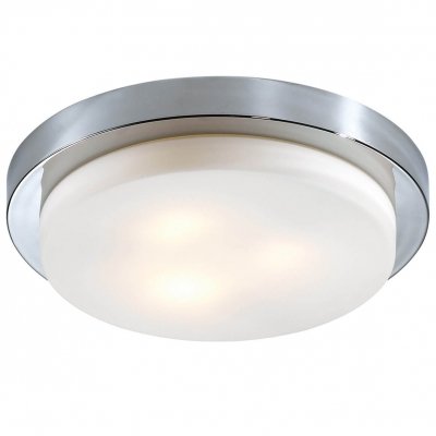 Настенно-потолочный светильник Holger 2746/3C Odeon Light