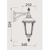 Стеклянный настенный фонарь уличный  79752S Gb прозрачный Oasis Light