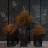 Настенный светильник уличный Smena 359163 Novotech Настенный светильник уличный Smena 359163 Novotech