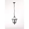 Стеклянный уличный светильник подвесной VENECIA 2L 91805L Bl белый Oasis Light