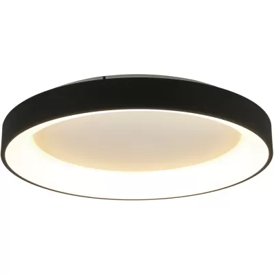 Потолочный светильник Niseko 8580 Mantra