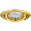 Точечный светильник ARGUS 304 цвет золото