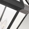 Стеклянный уличный светильник подвесной Alford Place QN-ALFORD-PLACE8-L-MB прозрачный конус Hinkley