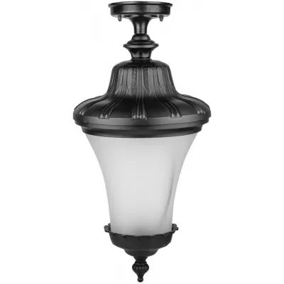 Потолочный светильник уличный ELBA 86405A Bl Oasis Light