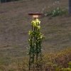 Грунтовый светильник Liana 7108/15GL коричневый Odeon Light