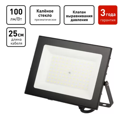 Прожектор уличный LPR-06 LPR-062-0-65K-070 ЭРА