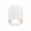 Точечный светильник St652 ST652.532.12 цилиндр белый ST Luce