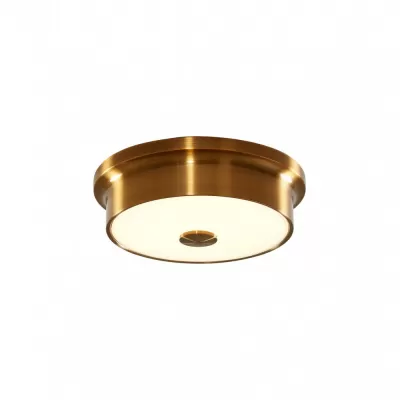 Потолочный светильник Фостер-2 CL706212 Citilux