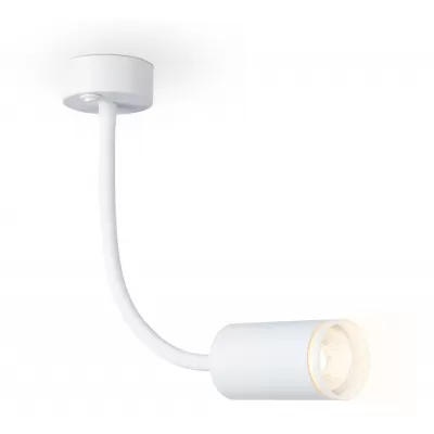 Настенно-потолочный светильник WALLERS FW2469 Ambrella