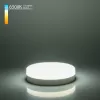 Лампочка светодиодная  BLGX5306 Elektrostandard