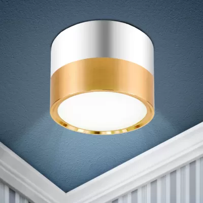 Точечный светильник OL7 GX53 GD/CH OL7 GX53 GD/CH ЭРА