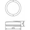 Стеклянный потолочный светильник уличный  77808 SS круглый Oasis Light