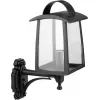 Стеклянный настенный фонарь уличный FRANKFURT I 2736Cl 01 Bl Oasis Light