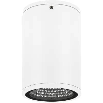 Потолочный светильник уличный FORMA 037261 Arlight