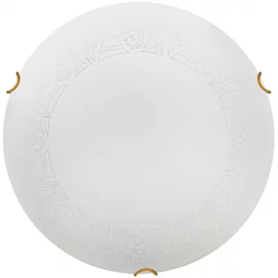 Настенно-потолочный светильник Ammonite 7602/BL Sonex Настенно-потолочный светильник Ammonite 7602/BL Sonex