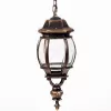 Стеклянный уличный светильник подвесной  83405L Gb прозрачный Oasis Light