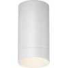 Потолочный светильник уличный Luxe O500CL-L5W3K белый цилиндр Maytoni