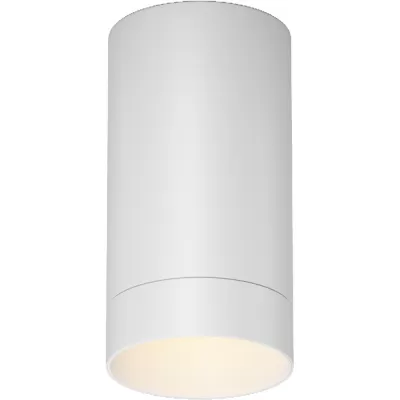 Потолочный светильник уличный Luxe O500CL-L5W3K Maytoni